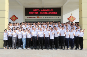 總結過去，計劃未來，協(xié)同創(chuàng)新，再創(chuàng)佳績！洛陽正大舉行2023年上半年工作總結會議